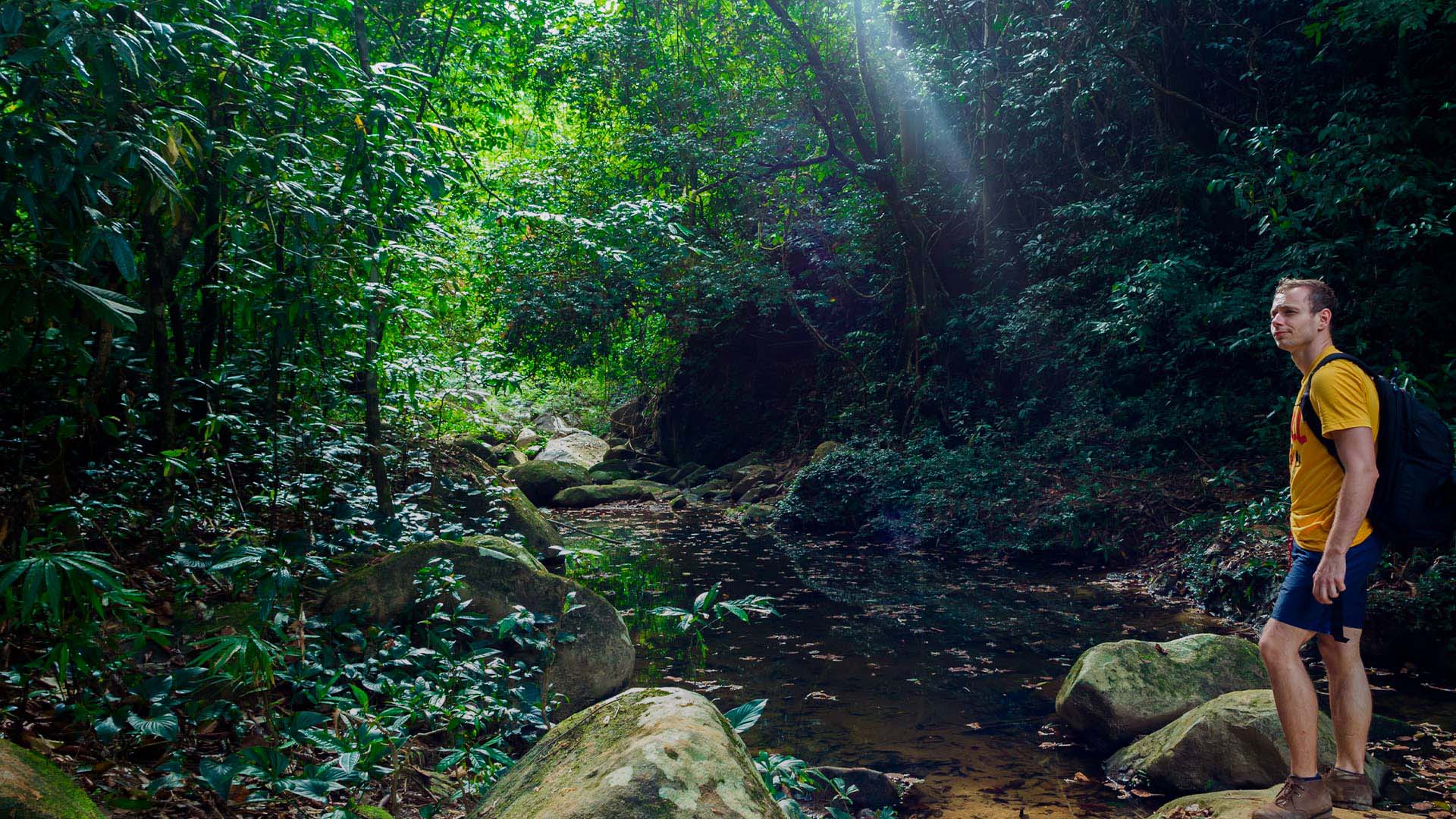 Trekking En La Selva Por Los Senderos De La Amazonía